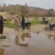Neglected  Bridge Project Leaves Fct Community: Isolated, Endangering Lives